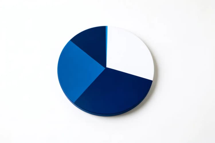 Gráfico de pizza mostrando a divisão de despesas de uma família.
